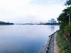-五缘湾湿地公园