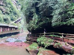 -碧峰峡风景区