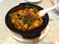 -陈麻婆豆腐总店