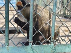 -秦皇岛野生动物园