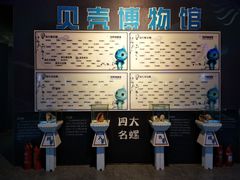 -贝壳梦幻世界