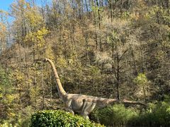 -栾川竹海野生动物园