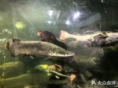 -泉州海丝野生动物世界