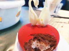 -BLACKSWAN黑天鹅(环球店)