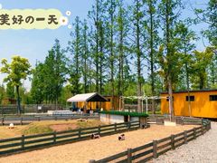 -前小桔亲子创意农场·草莓采摘·露营烧烤