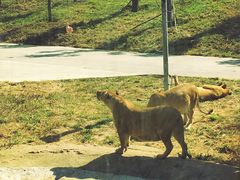 -西安秦岭野生动物园