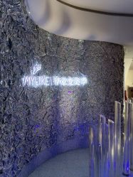 点击看大图 -深圳美莱医疗美容医院