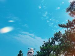 -养马岛旅游度假区