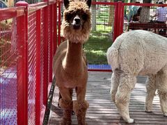 -水上乐园·欢乐世界