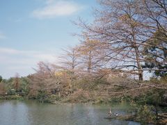 -海珠湖公园