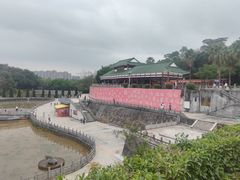 -三水森林公园