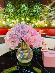 点击看大图 -花隐·美芙炫海菲秀皮肤管理中心