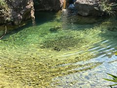 -南海湾森林生态园