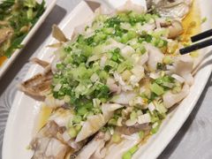 香葱淋鲈鱼-粤·向群饭店(龙津东路总店)