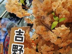 -吉野家(上海美罗城店)