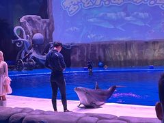 -华夏文旅海洋公园