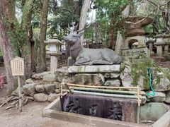 -奈良公园