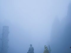 -武陵山森林公园