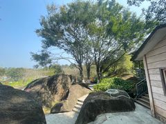 -天鹿湖森林公园