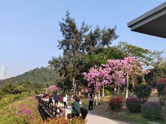-狐尾山公园