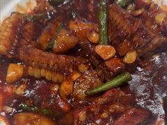 -三强鸽子(胜利路店)