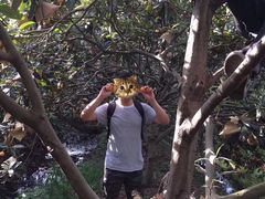 -塘栖枇杷特色园区