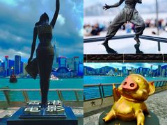 -星光大道