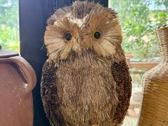 -汤锅大王(新平曹苏黄牛汤锅有限公司)