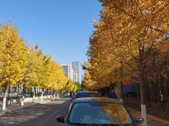 -东北大学(南湖校区)