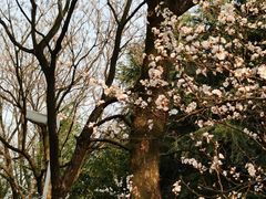 -白塘生态植物园