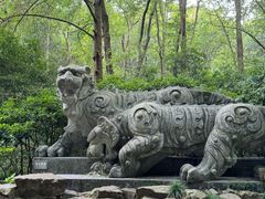 -虎跑公园