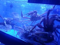 -荣记火锅(青悦城店)