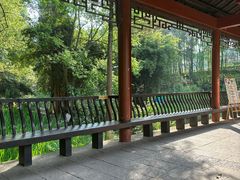 -重庆彩云湖湿地公园