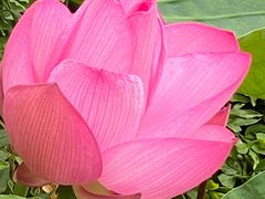 -苏州香山国际大酒店