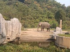 -宁波野生动物园