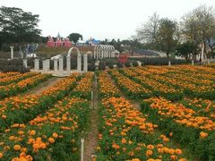 android_upload_pic-松山湖梦幻百花洲