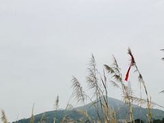 -凤翔首邑温泉度假村