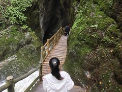 -牛背梁国家森林公园