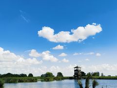 -盐城丹顶鹤湿地生态旅游区