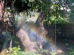 -Chom Cafe and Restaurant