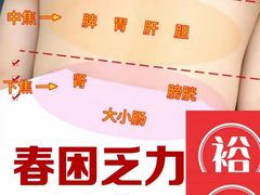 -裕和堂中医推拿艾灸(太古汇臻品店)