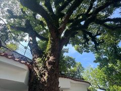 -澳门圣地牙哥古堡酒店