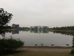 -美兰湖景区