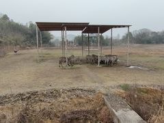 -宁波野生动物园