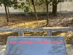 -上海佘山国家森林公园天马山园