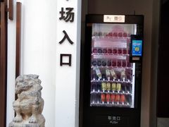 -南京市民俗博物馆(甘熙故居)