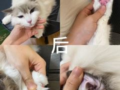 -听TA说宠咖·宠物生活馆(天韵水岸店)