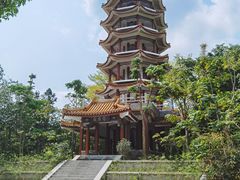 -深圳仙湖植物园