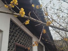 -李时珍纪念馆