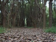 -同里国家湿地公园